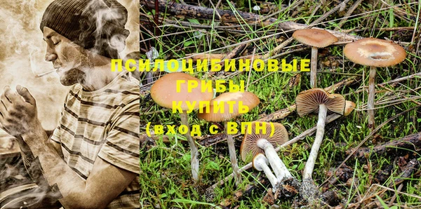 твердый Алзамай